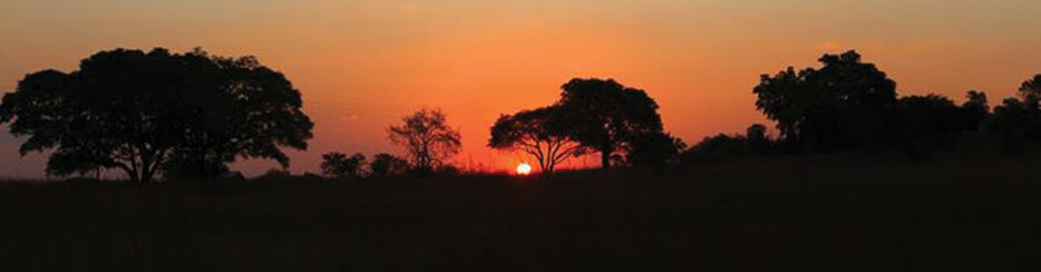 Larry’s Travels – South Africa