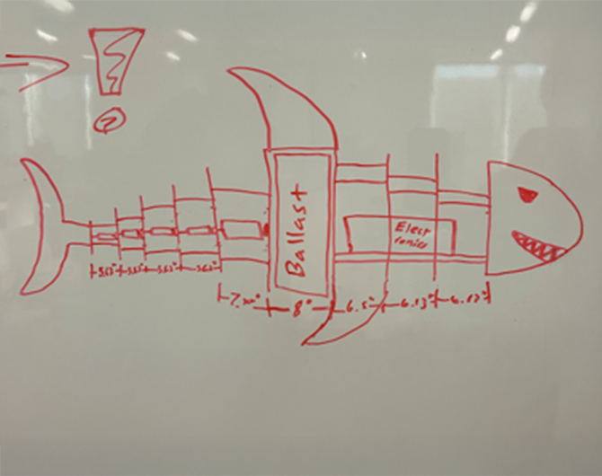 The capstone project team's shark sketch from the initial planning phase.